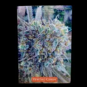 SamuelSmartG's tweet photo. Puzzle night, elevated 🧩 Check out our Psycho Cindy and Alien Ear Buds puzzles — a fun way to unwind while showing off your favorite strains as art. 

https://t.co/xCBjn2vIW2

#Bud #Puzzles #Grow #FunFinds https://t.co/ObIfq4ZyrP