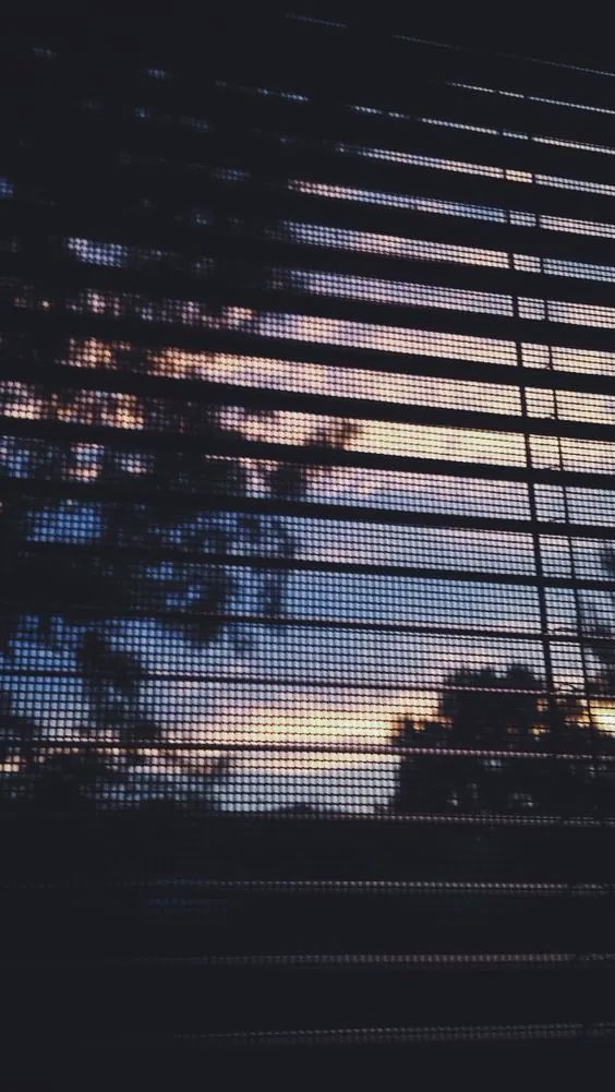 jamessss1025's tweet photo. Some evenings you don’t need the full view.
Just enough light slipping through the cracks to remind you the sun still sets beautifully, even when you’re not ready to face it all.

Half-hidden. Half-hoping. Fully alive in the in-between. 🌆 https://t.co/OP9W7XZ0Bv