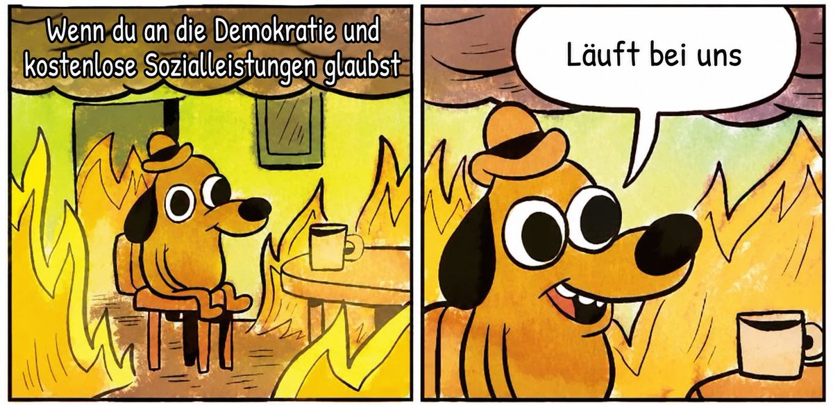 gruenebombe's tweet photo. https://t.co/G7oStVfPRJ