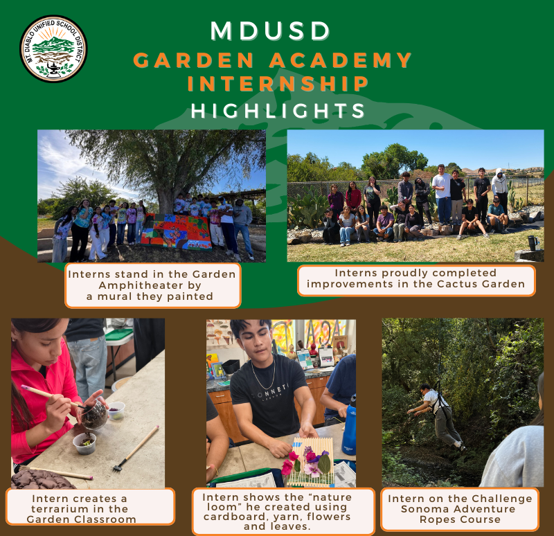 MtDiabloUSD's tweet photo. MDUSD's Bay Point Garden Summer Internship at Riverview MS helps students build teamwork, gardening and environmental protection skills. The 4-week program for @mtdiablohs &amp; Ygnacio Valley HS students included garden projects, arts &amp; crafts, &amp; field trips. https://t.co/bBFJk4BDvP https://t.co/HZ0oeAgpl6