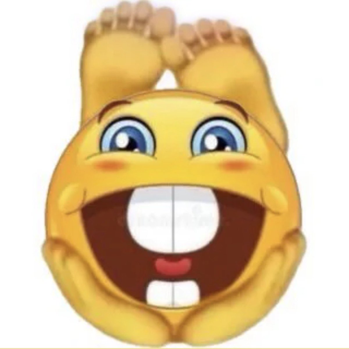 imnoahguy tweet picture