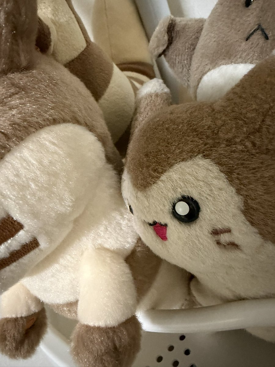 Post by ぐぐぐ on X: おはよう🍠