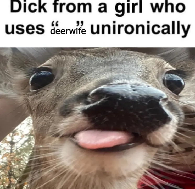 deertexting's tweet photo. https://t.co/9y2PlVWMsK