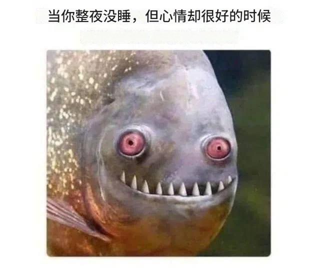 dearemon's tweet photo. https://t.co/0da7CnNGaK