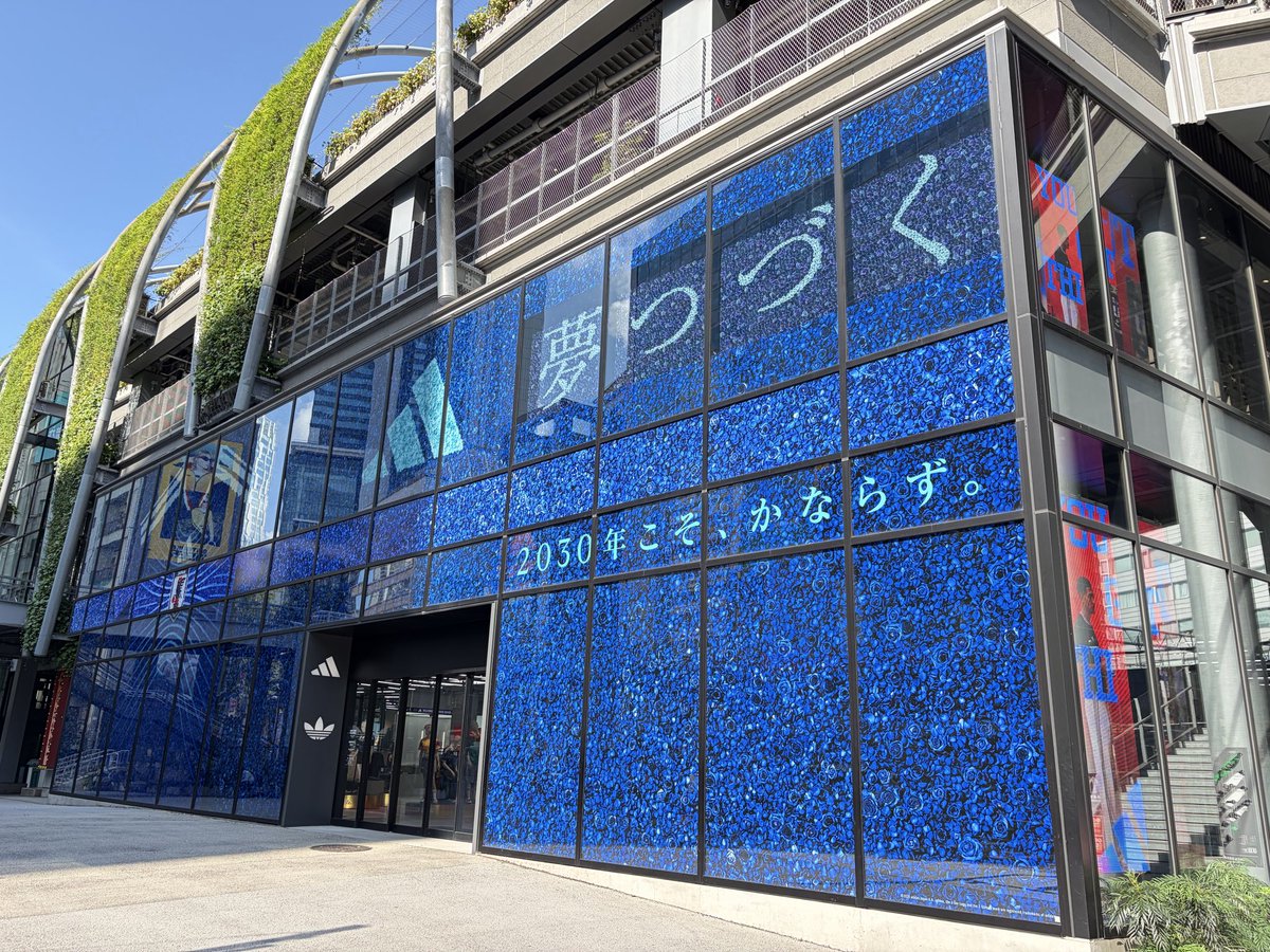 Nanashi_Gonben's tweet photo. 青いバラで埋め尽くされてる✨⚽️ #Ado https://t.co/sqBvAGsBRs