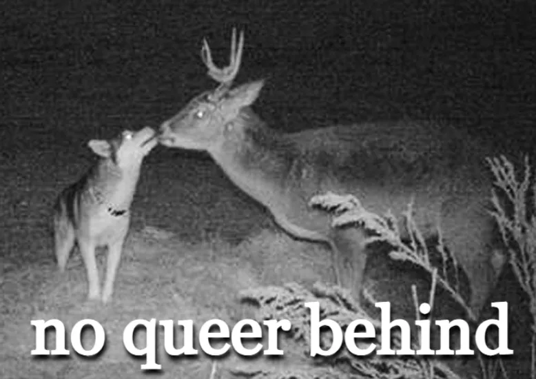 deertexting's tweet photo. https://t.co/qDRlrRGVYP