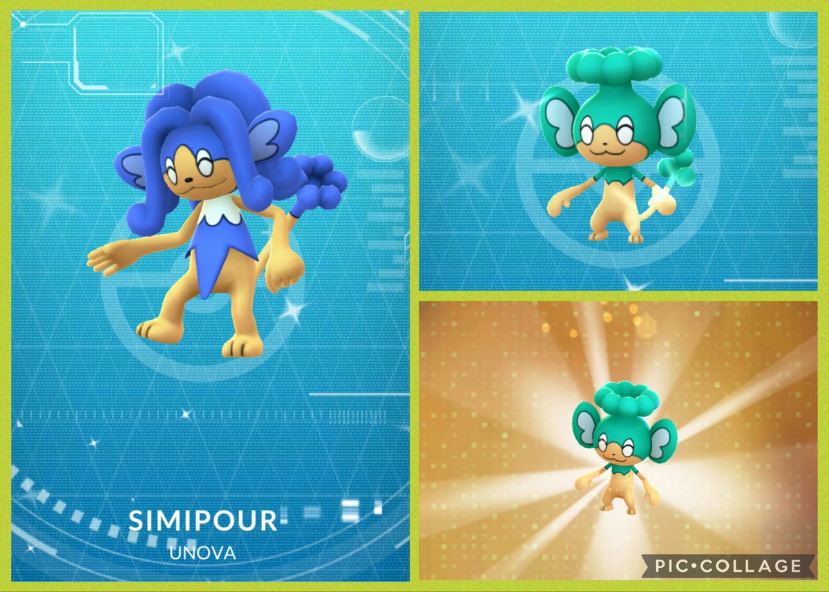 SmileThippy's tweet photo. (,,˃ ᵕ ˂,,)~ෆ ॱ 𝒕𝒉𝒂𝒏𝒌 𝒚𝒐𝒖 ☘️✨➰ Remote Trade Success
#ShinySimipour
#RemoteTrade
#PokemonGO🫶🏻🧢 https://t.co/6rn0ENl67l