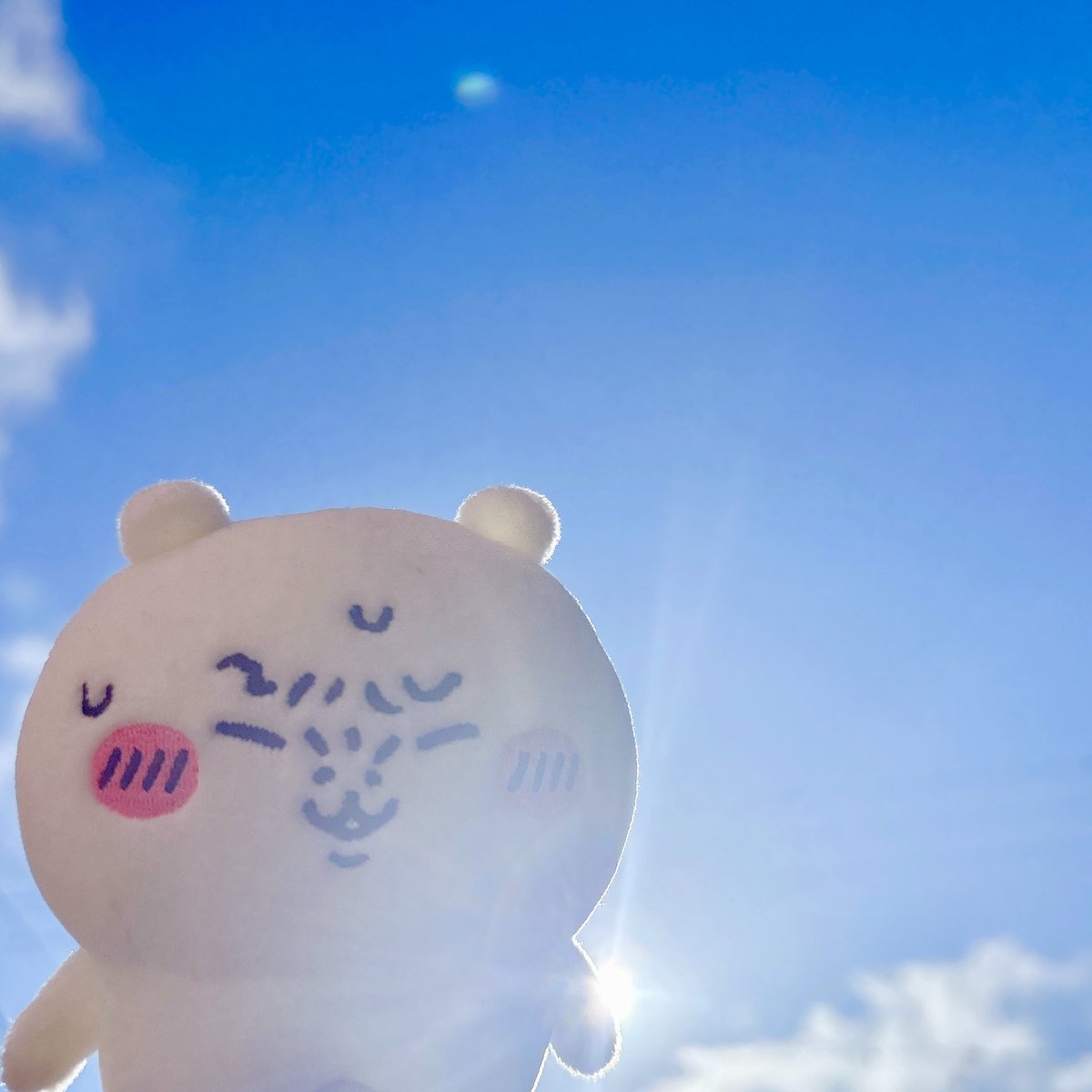 unmaimondaisuki's tweet photo. 夏が始まった合図がした https://t.co/wHyTIHote4