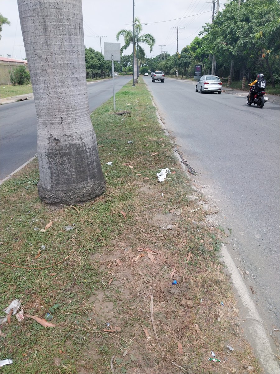 EduardoLadisla0's tweet photo. Normalizaron que Villaclub en la Aurora sea una urbanización puerca,sucias,mal atendida por @AlcaldiadeDaule ,no hay barrenderos,no hay áreas verdes... solo ineptitud y odio a los que llegamos a esta parroquia y NO gratis  .. @ComunidLaAurora https://t.co/lTzPJVv9xb