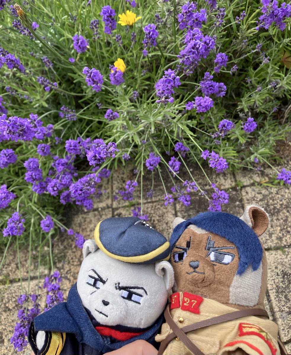 retroengine_g's tweet photo. 夏の月鯉 https://t.co/UWAIpPMhKF