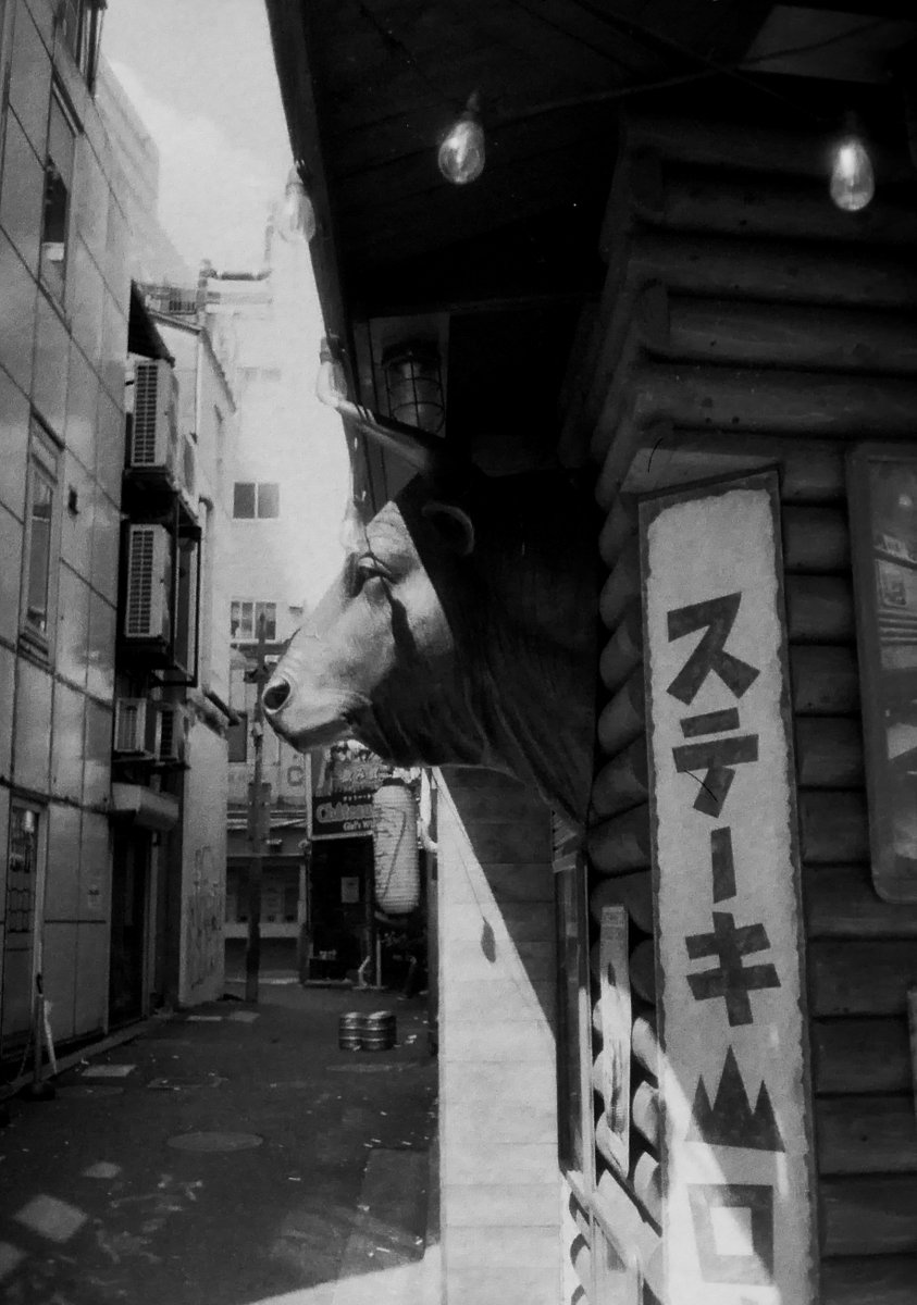 k_photo_tokyo's tweet photo. film 
ricoh #autohalf se2 | lomography bw 400 増感 https://t.co/o7qMAic2l9