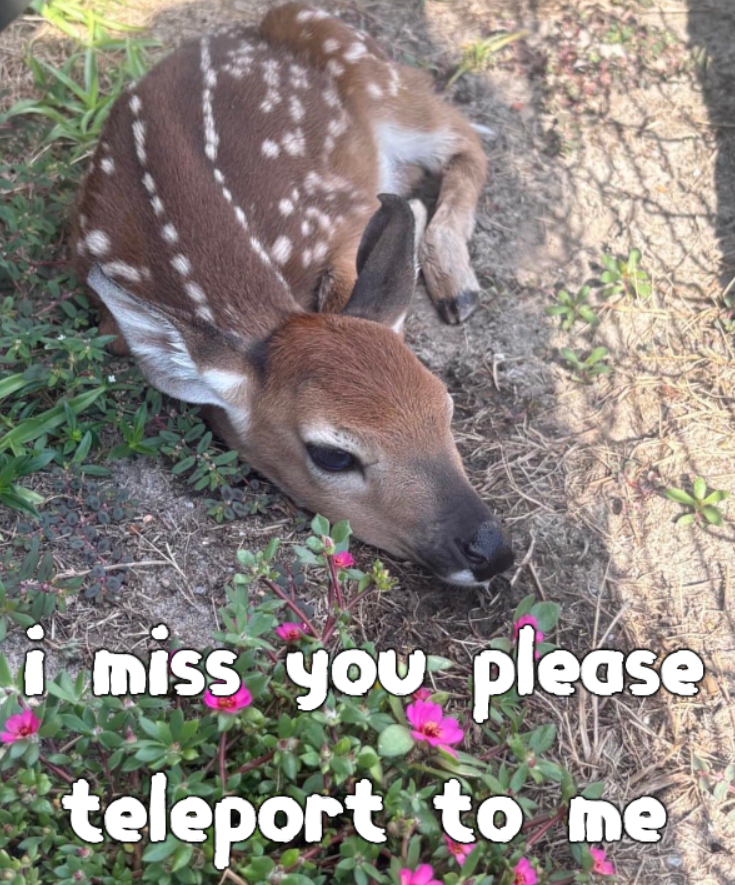 deertexting's tweet photo. https://t.co/LTeysR3oFZ