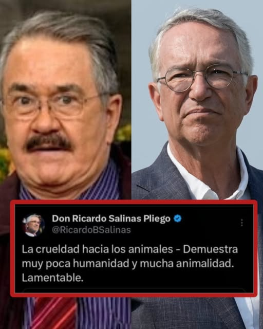 CeaseCruz's tweet photo. Con mis perritas noooooo #LaPerritaDeTrump 😂👇 https://t.co/cnmiDTFJRd