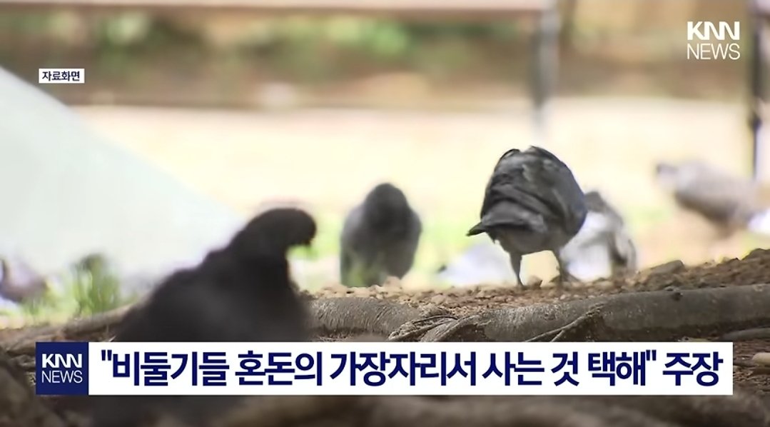 dialdialzxcv's tweet photo. 멋지군.... https://t.co/FVuhka1HXs