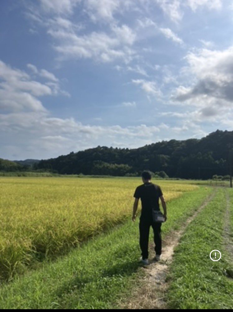 KOMEBOWZ's tweet photo. 🌾【知っていますか？日本一早い新米】

毎年7月になると、鹿児島県では新米の収穫が始まります！

温暖な気候を活かした「早期栽培」により、日本でいち早く新米が味わえる産地なんです。

「もう新米!?」と驚かれる方も多いですが、これも鹿児島ならではの魅力🌾✨
ひと足早い新米の香りと味わいを、ぜひ楽しんでみてください！🍚✨
千葉エリアでは9月頃から新米です✨

#千葉市 #米屋 #新米 #備蓄米 #もち米 #米騒動 #配送 #米配達  #コイン精米
