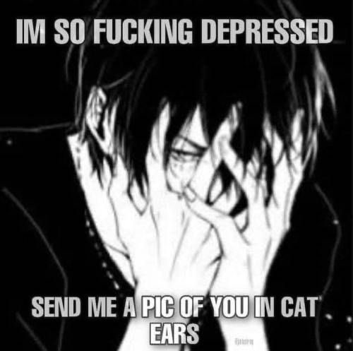 _ashhko's tweet photo. if i meowed to u would u meow back or bark like a freak 😒😒😒

#shedtwt #shrtwt #shedrtwt #catboy #meow #moots https://t.co/HkxIdT9vKs