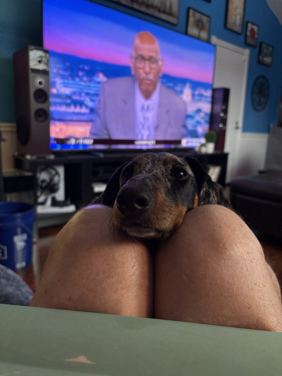 Via6Via's tweet photo. This is what I see while I eat dinner in my recliner. https://t.co/5Q6HxnnHGL