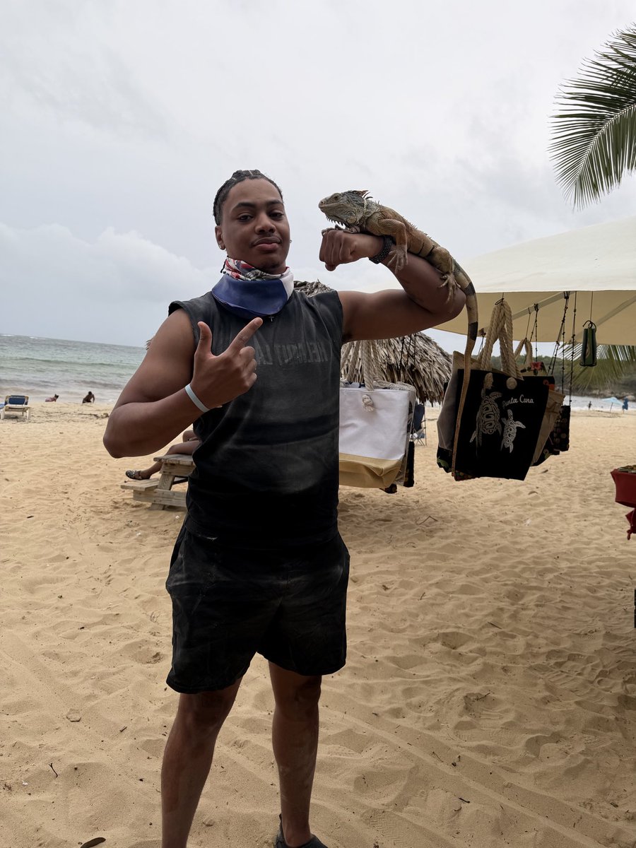noobrayy's tweet photo. 🏝️ https://t.co/IhArh2STiW