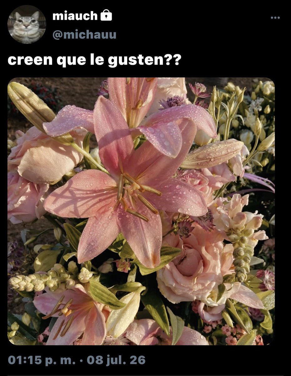 ernestoteodio's tweet photo. ˚˖𓍢ִ໋❀  010 https://t.co/IiesnzYaoc