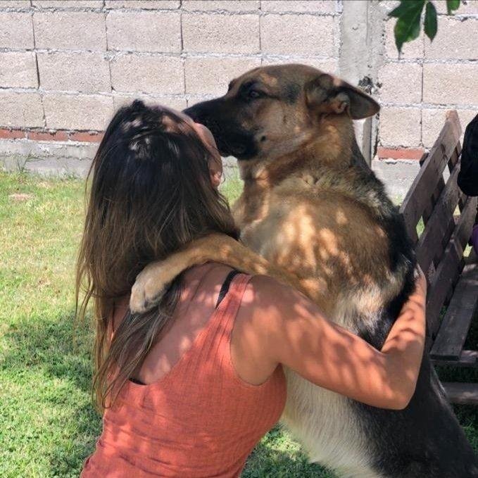Mercedesdchd's tweet photo. I was born to love you and I can't live without you 💕🐾 come stream our history https://t.co/1k3u7ce18F https://t.co/gx4aFOdk2P