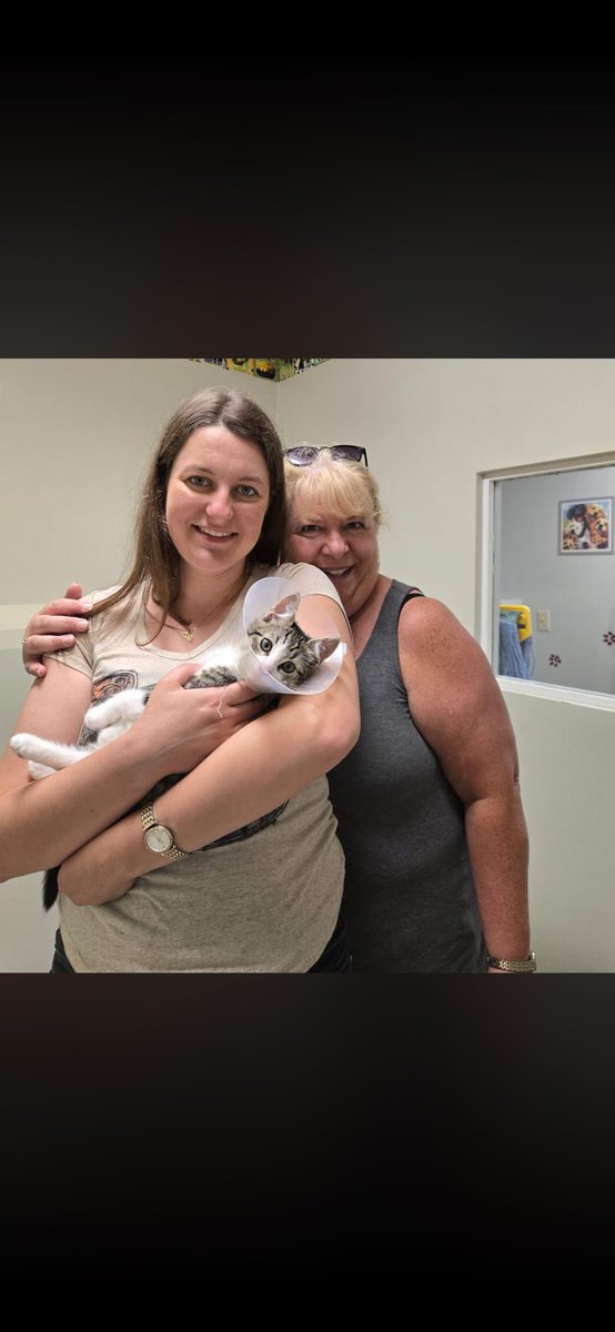 foreverpaws's tweet photo. Finn was the first of his litter to find his forever home 🥰
#animalshelter #animalshelters #fpas #rescuelife #sheltercats #rescuecats #sheltercat #rescuecat #animalrescue #rescue #foreverpawsfamily #community #adopt #familypetsaresuperheros #CatsOfInsta #kittens https://t.co/JD393IkRKc