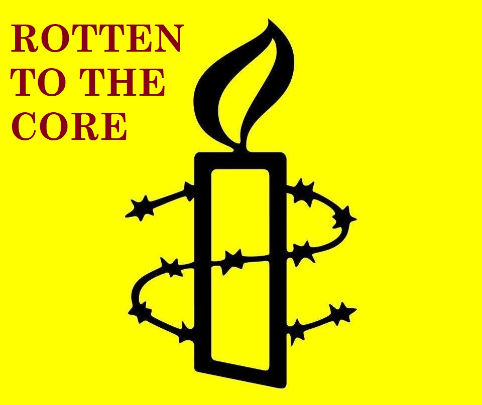 IsraelConnexion's tweet photo. Across the Middle East, NGOs like Amnesty International lacking accountability and moral rectitude https://t.co/OYpjz8AgYP https://t.co/iPymg1cuaZ