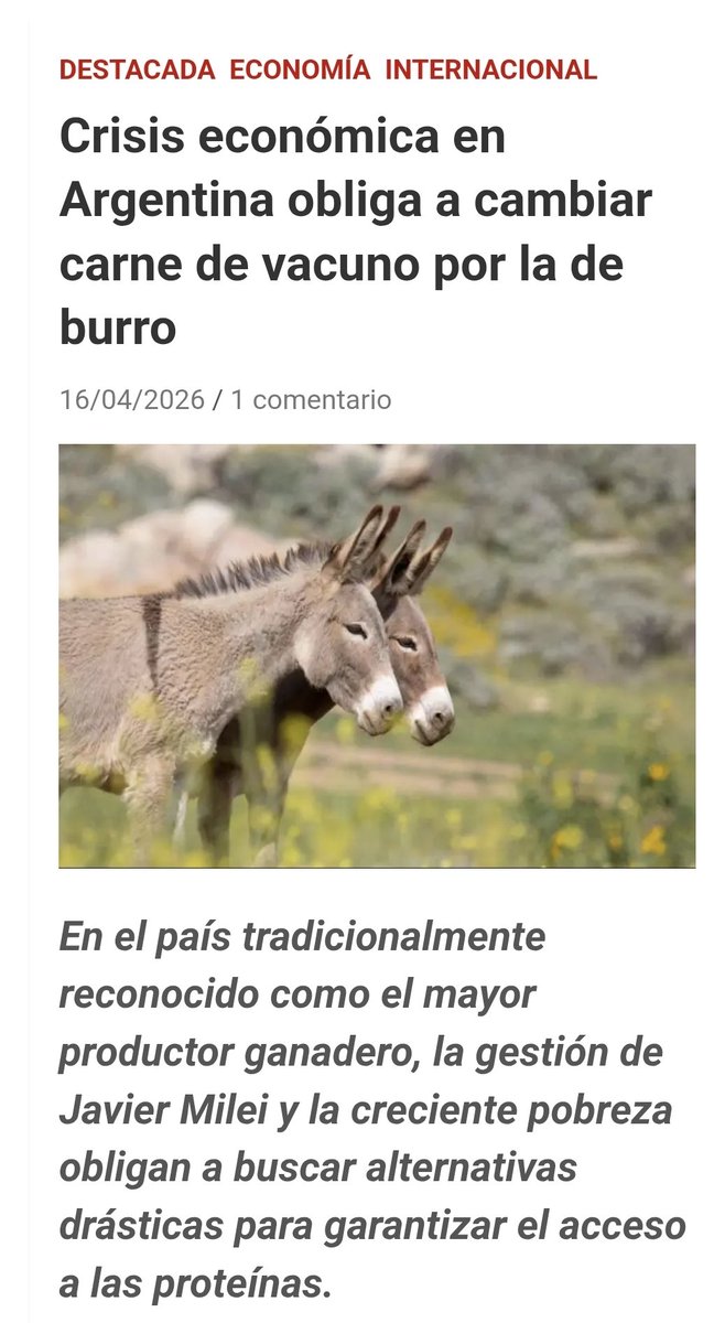 oZkR tweet media