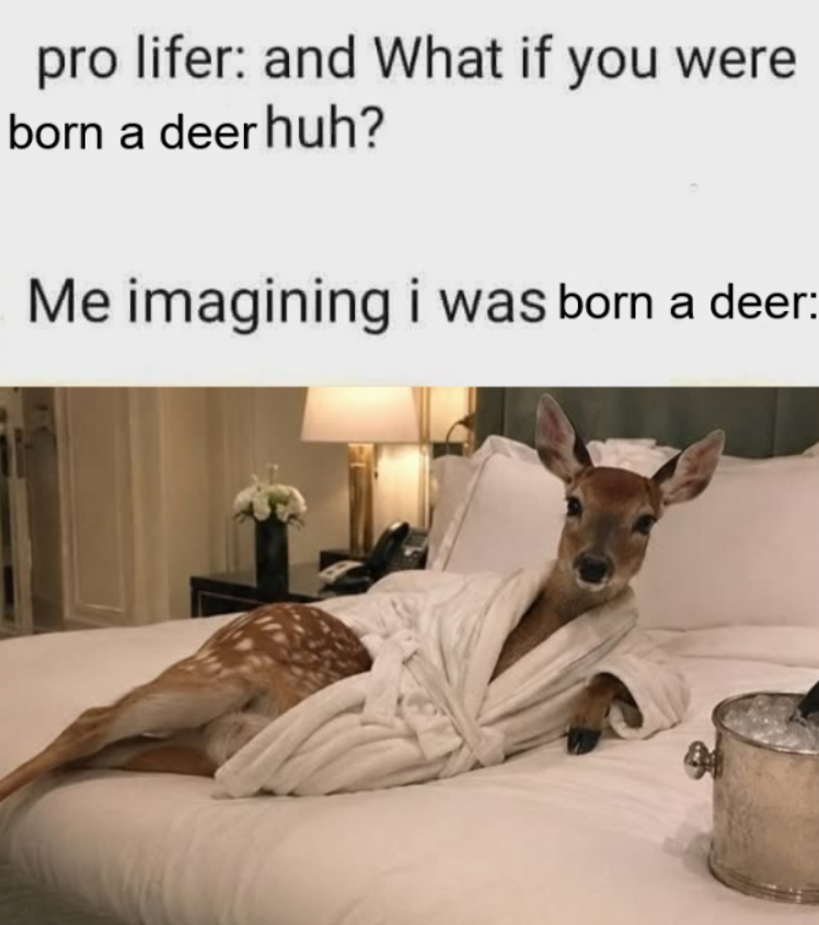 deertexting's tweet photo. https://t.co/otxiOJ8WMa