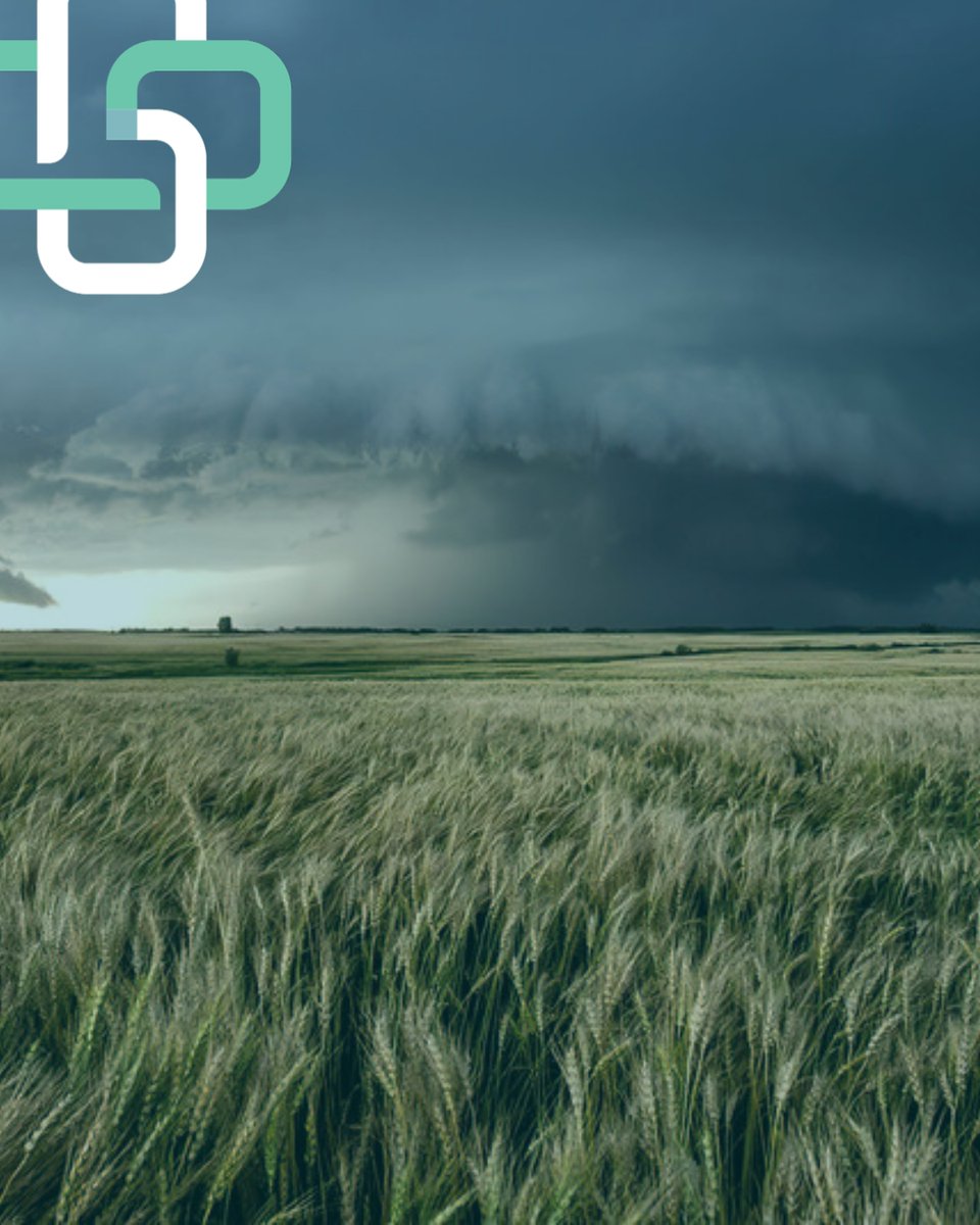 Guild Insurance Group tweet media