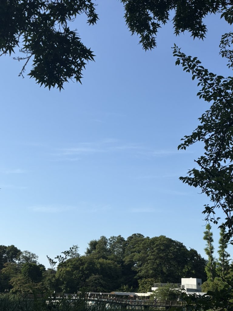 hinmi5's tweet photo. おはようございます。暑くなりそうですね。まだ身体が暑さに慣れていないのでのんびり過ごします。 https://t.co/xopHDN45pn