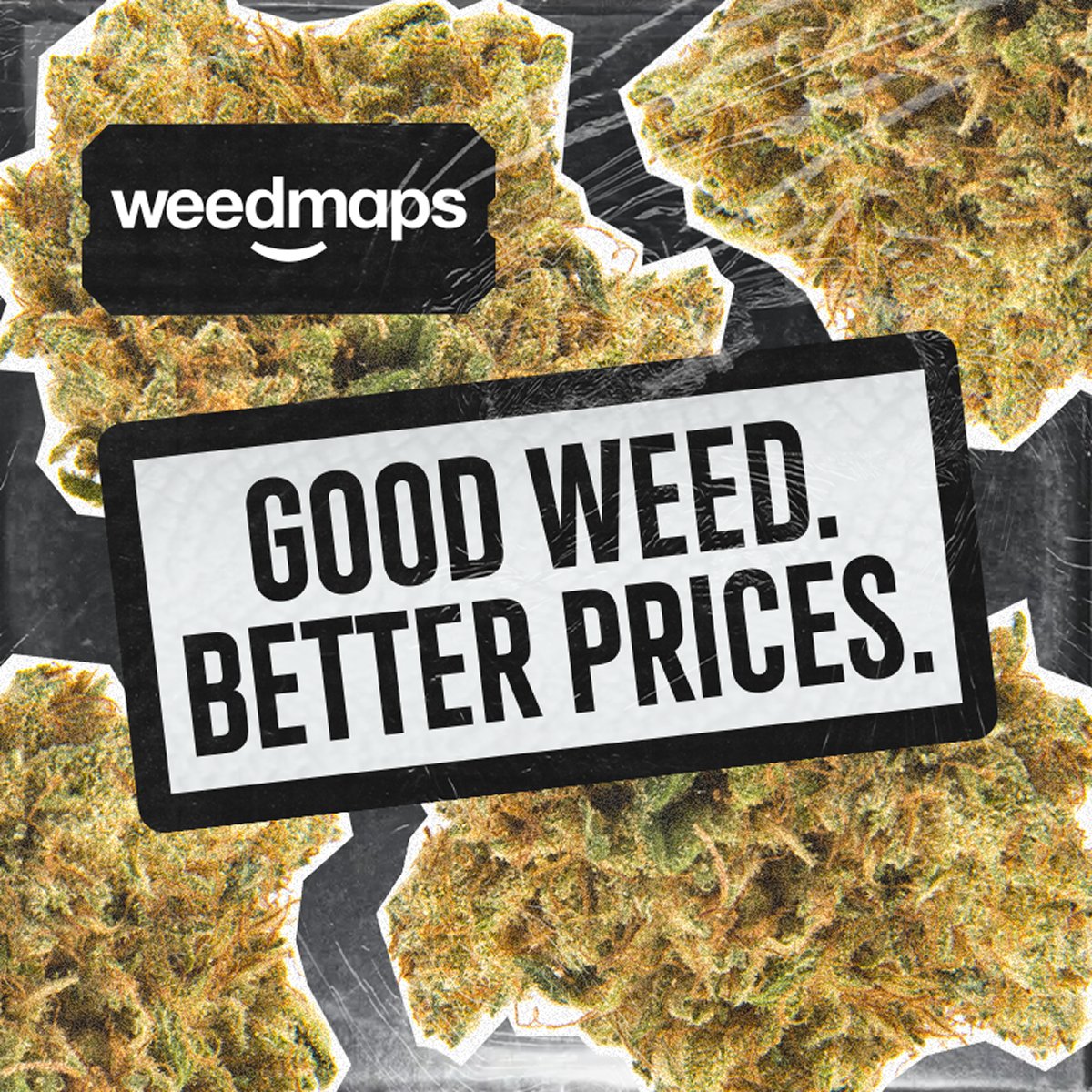 weedmaps's tweet photo. Your one-stop-shop for everything weed 🌿