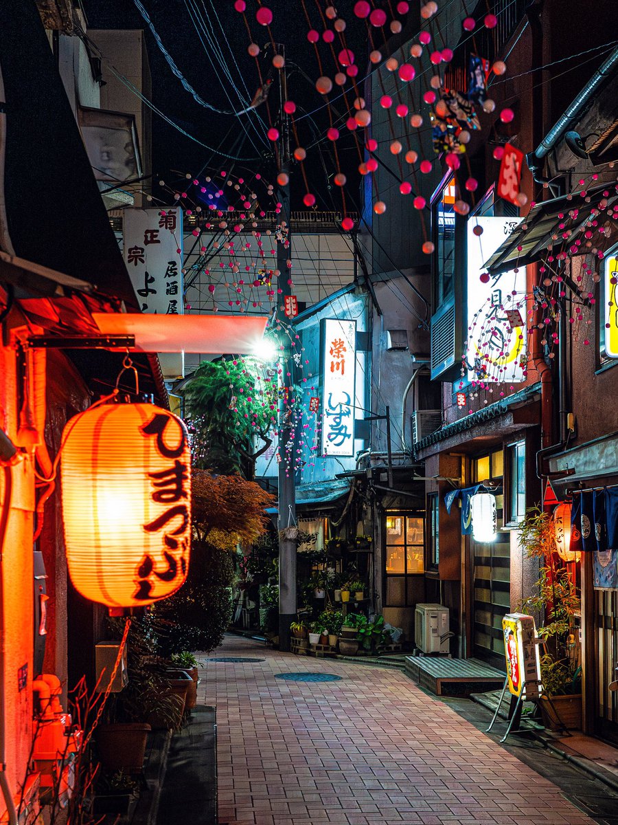 1980_miyan's tweet photo. 門前仲町の辰巳新道🏮 https://t.co/NhIkYoanKk