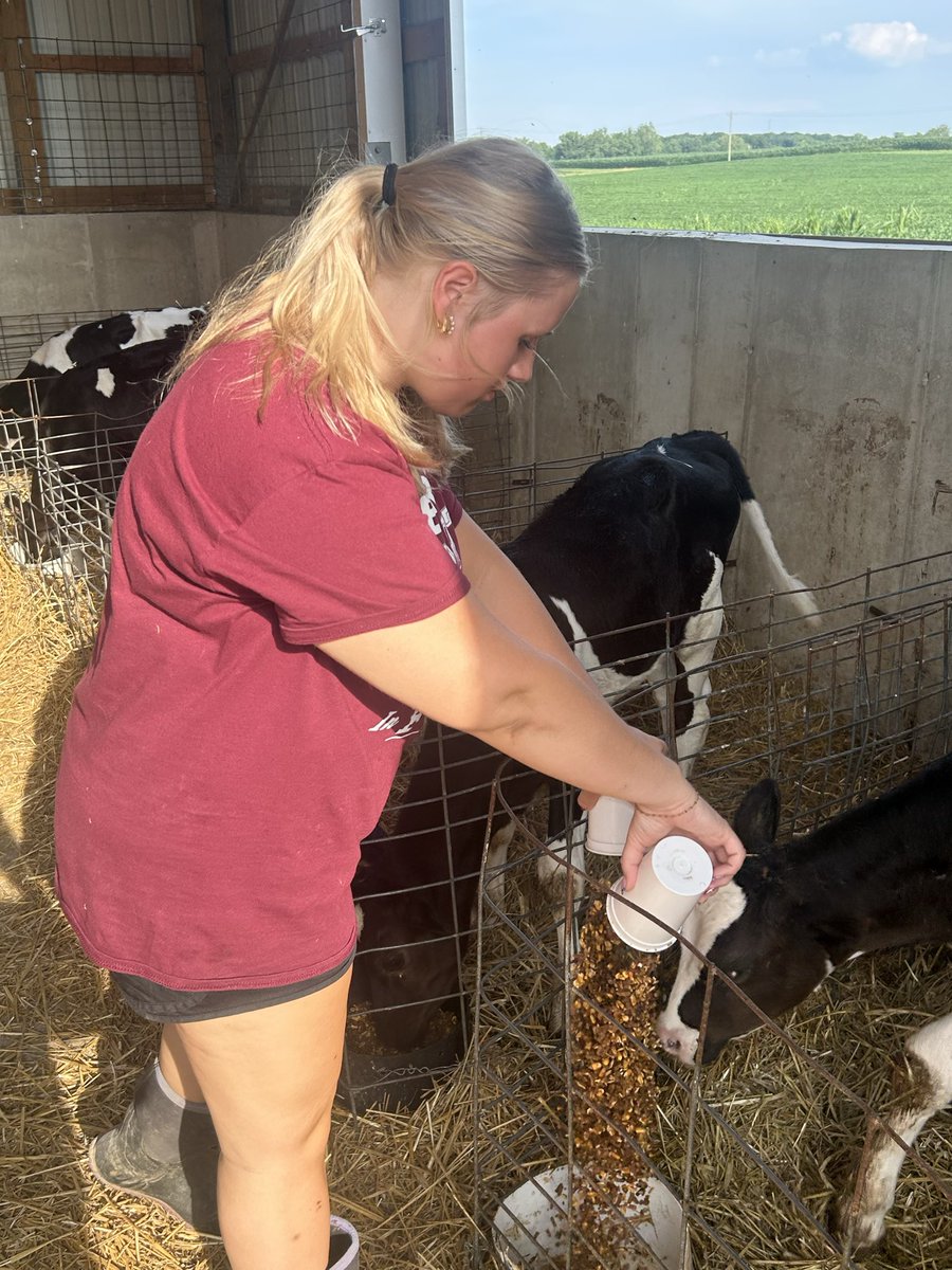 FLFFA's tweet photo. One of this evenings SAE visits was with Olivia at her family’s farm. She is responsible for assisting with feeding bucket calves the family raises as well as caring for them up through market weight. I also viewed her 4-H market rabbits and dairy feeder calf. Great visit! https://t.co/YEgBX8hS3V