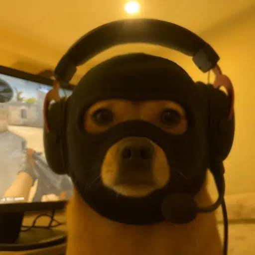 youngvamplyfe00's tweet photo. CATWIFMASK WENT 100MIL AND IT WAS A CSGO MEME

WE CAN FINALLY RUN DOGWIFMASK https://t.co/fsQhJogAtl