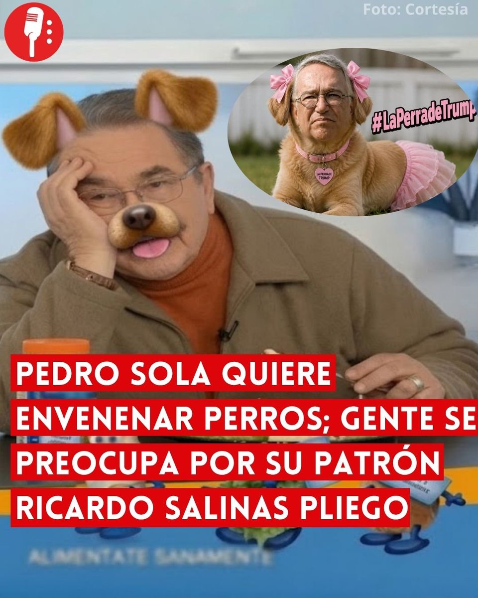 ReporterosMX_'s tweet photo. ⭕️ OJO | PEDRO SOLA QUIERE ENVENENAR PERROS; LA GENTE SE PREOCUPA POR SU PATRÓN RICARDO SALINAS PLIEGO 

El conductor Pedro Sola (@tiopedritosola), integrante de TV Azteca (@Azteca), durante una transmisión en vivo del lunes 6 de julio hizo declaraciones violentas y de odio hacia los perros, incluyendo a sus propietarios. https://t.co/T15LhnAf9U