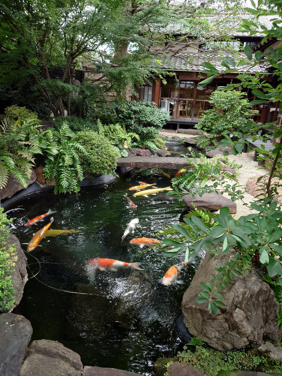 PartyFrame's tweet photo. ランチしてきた https://t.co/e6eBnaHogL