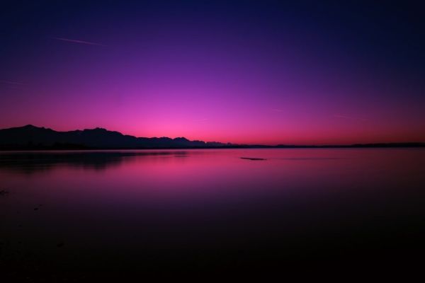 joy5887650's tweet photo. Stay close to what keeps you feeling alive - Sửu T. Đặng https://t.co/9MbBnQyeOn