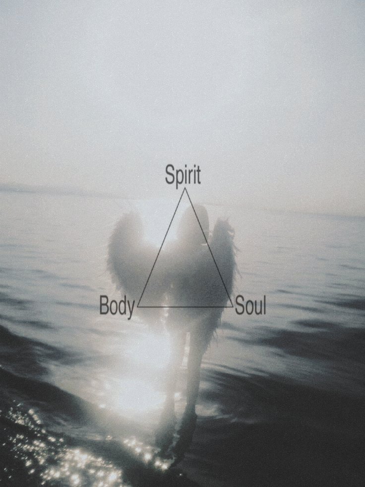 sacredserafim's tweet photo. ⠀
⠀
⠀⠀⠀⠀  𝓽hough my wings are severed.
⠀
⠀ https://t.co/QAwE8grKgp