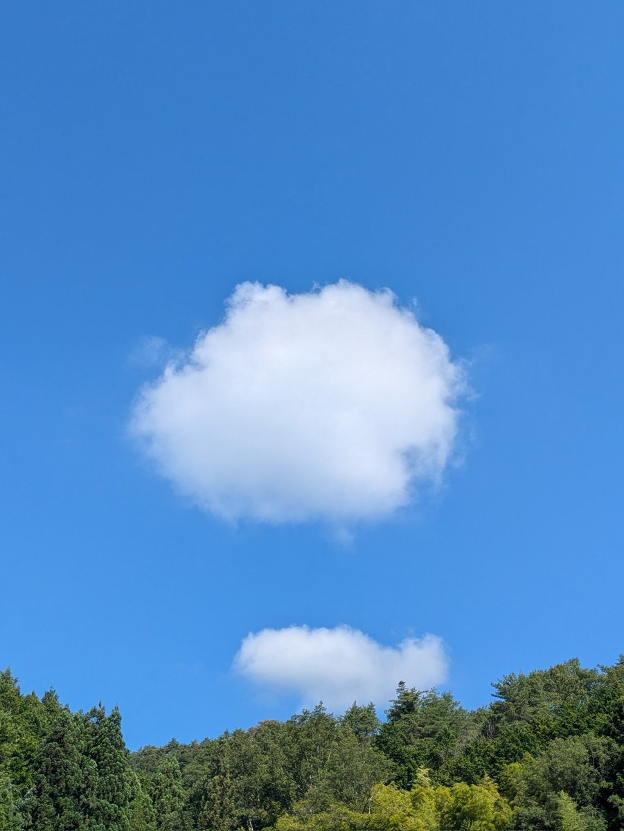 cotori5656's tweet photo. 夏だね🌞☁ https://t.co/FH3P8JI5Qv