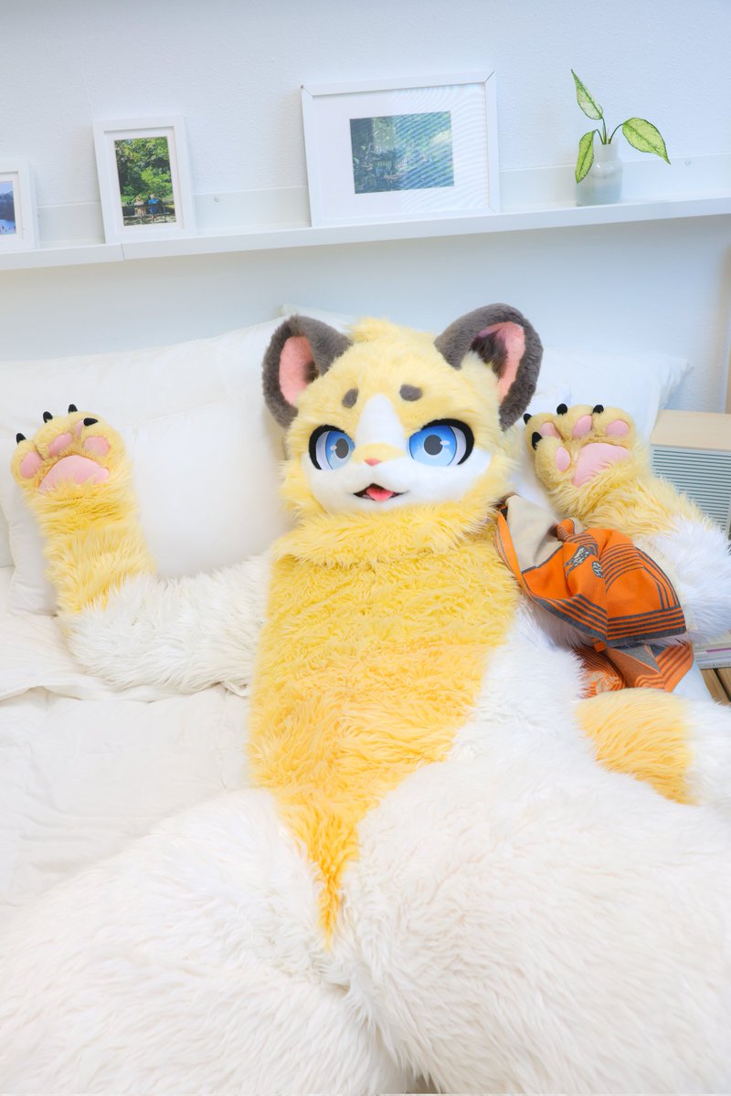 gwonguwon444610's tweet photo. 배? 배 만질꺼야?  😖😖
살살만져야해...?  

@G_Fense 
#FursuitEveryday https://t.co/Sb6dnn0har