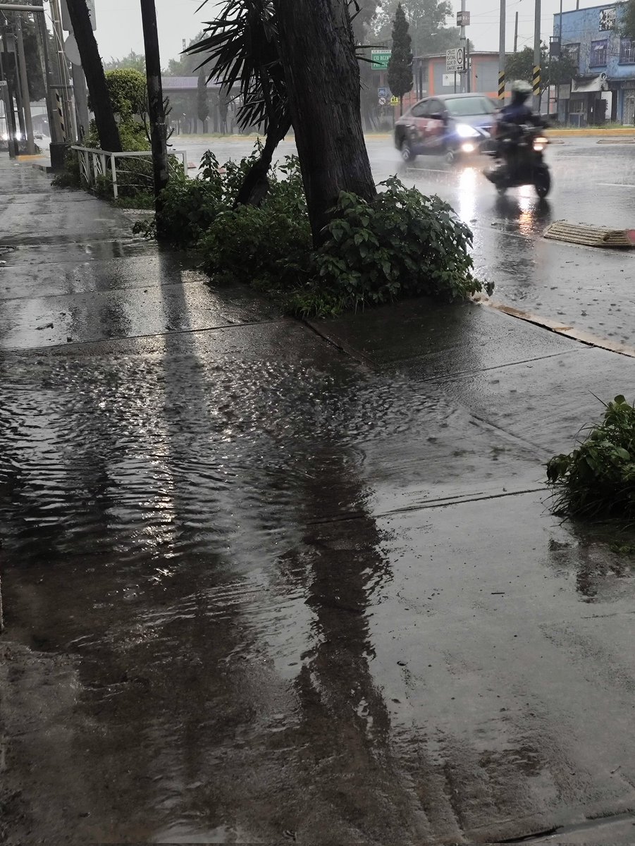 paletachavez's tweet photo. @SEGIAGUA  Molina nos estamos inundado @evelyn_parraA  ya sale el agua de las coladeras https://t.co/oSpLIQwR7I