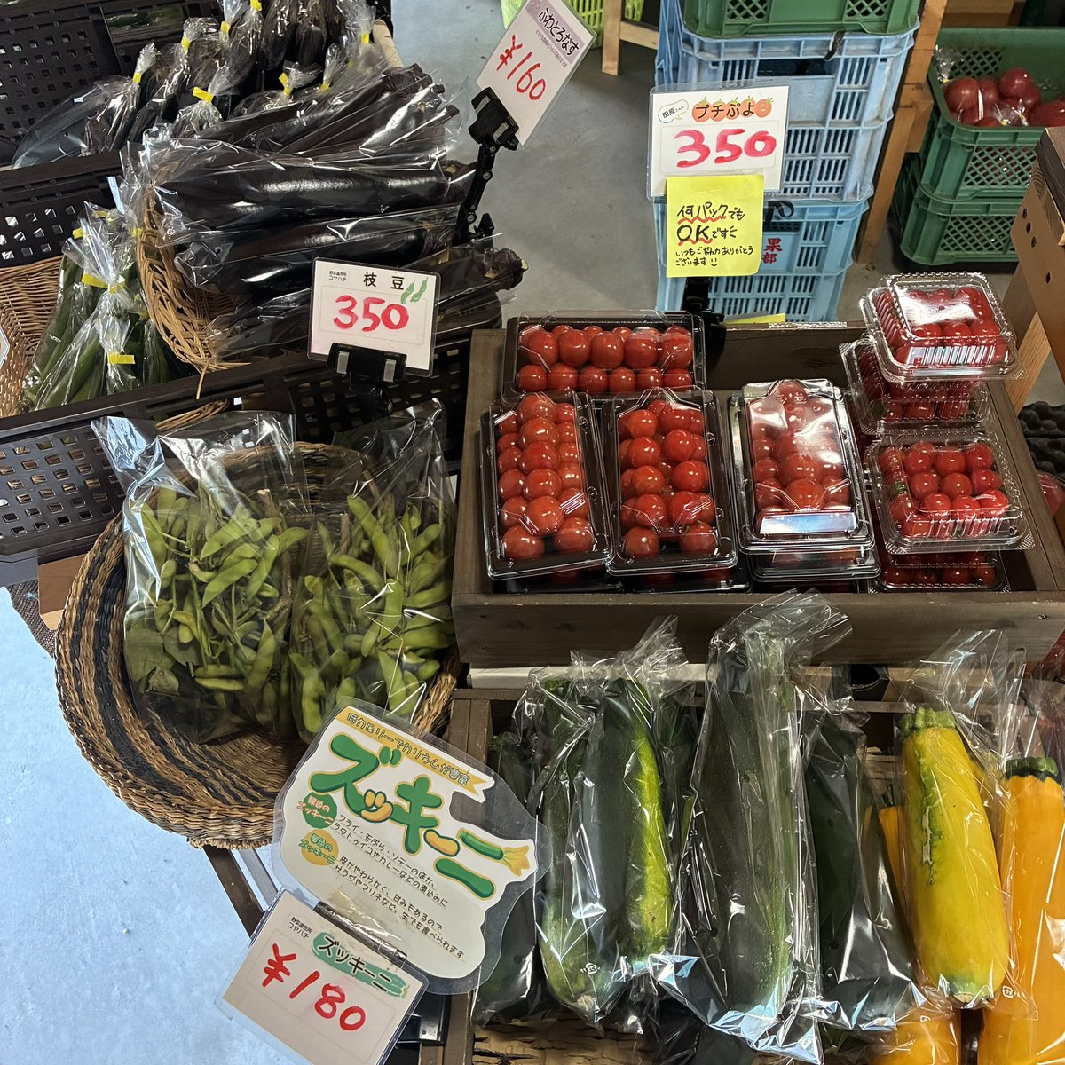 koyahachi_'s tweet photo. おはようございます！本日は午前のみ9時半〜営業です！

【お品書き】
完熟トマト、ぜいたくトマト、ほうれん草、小松菜、長ナス、イボなしきゅうり、プチぷよ、ミニトマト、ズッキーニ、ふわとろなす、枝豆、オクラ https://t.co/qLaXVNi4aD