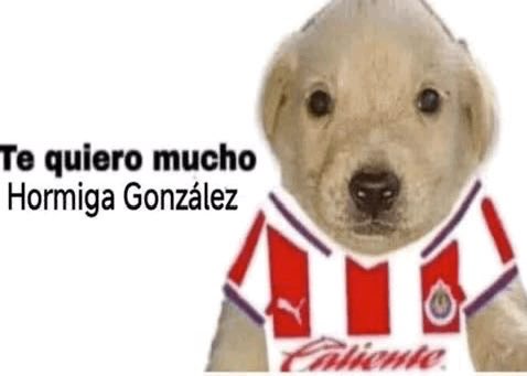 Page_lugg's tweet photo. Antes del mundial andaba spr pendiente de los tannies, y ahorita ni idea de donde estén, pero bn que ando esperando a que empiece la liguilla para ver a Hormi, Brian y Morita JAJAJAJ. Les pasa lo mismo?

#armytwt #chivas https://t.co/iL2NgvsZFd