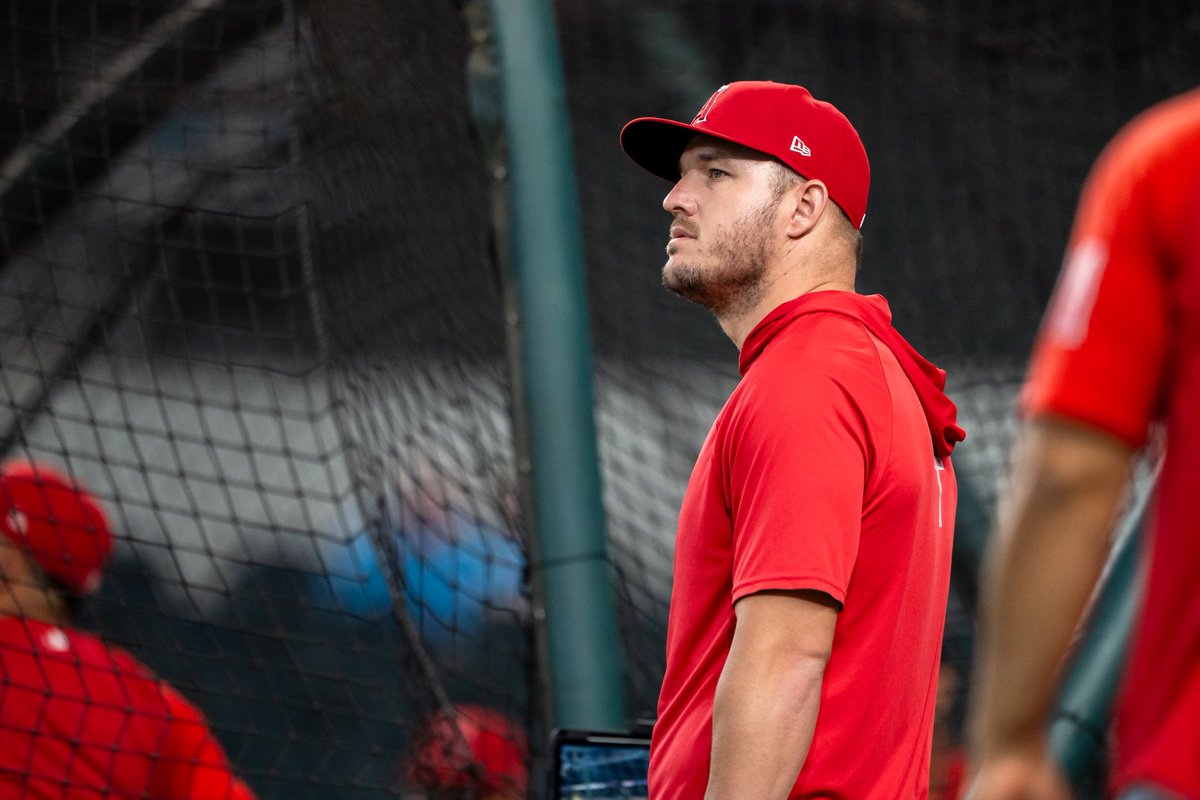 Angels's tweet photo. look who's back 👀 https://t.co/q3emqoAW0R