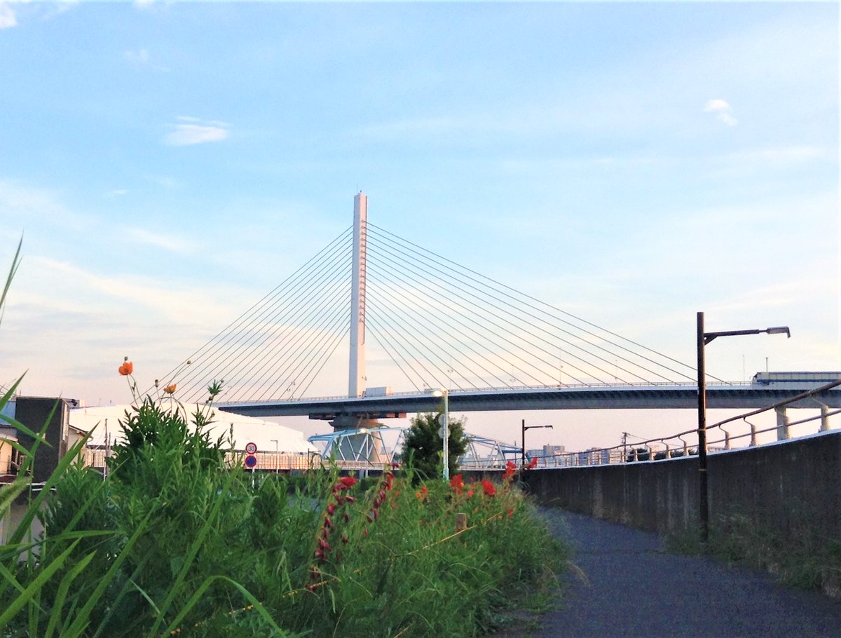LunaKitchen3005's tweet photo. おはようございます🥰
今朝の葛飾は晴れ☀

日差しが強くて夏到来!!‼️って感じ…💦

画像は葛飾ハープ橋🌁
中の人のジョギングコースです🏃‍♂️💨

では☆本日木曜日も､
よろしくお願いします🍃
#企業公式が毎朝地元の天気を言い合う
#企業公式相互フォロー https://t.co/xR4y8c9jDH