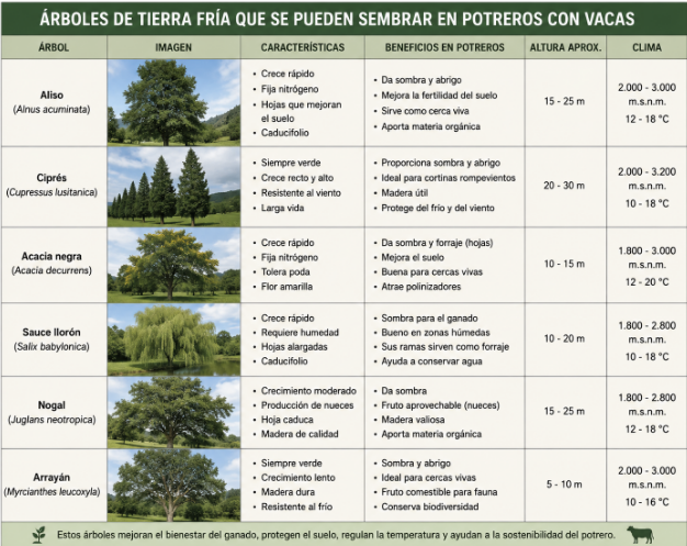 ubate_pl's tweet photo. Sembrar árboles en potreros donde las vacas pastan a diario es importante para dar sombra cuando hace demasiado calor, protegen de los fuertes vientos y sirven de alimento para los bovinos.
#ConstruyendoGanadería
@Fedegan  @jflafaurie  @FacatativaPl   @PlGuavio   @GirardotPLocal https://t.co/J0b327PyXW