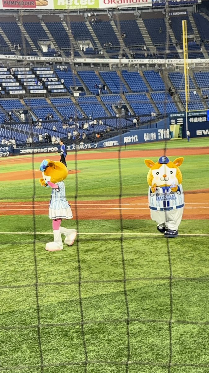 Rinka_all_eng's tweet photo. キララちゃん転んじゃってスターマンに起こしてもらおうと思ってたのに、ノロノロくるスターマン

起こせなくて自力で立ち上がった怒💢(?)で泣いてるキララちゃんにオロオロするスターマンかわいいね❤️❤️

スターマンの恋はいつか叶うのか…

怪我なくて良かった

#DBスターマン #Baystars #DBキララ https://t.co/1UZba8dL5s