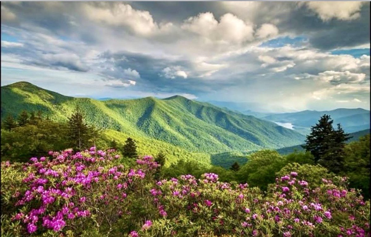 artofthegame1's tweet photo. Old Edwards Hospitality. Highlands, western North Carolina.  Corporate events high net worth groups and outings. 2.5 hours from Atlanta, 5 hours from Nashville, 3.0 hours from Charlotte. Cool Summer evenings and warm Summer days. doug@artofthegame.net to chat. https://t.co/xrJxLdCPaB
