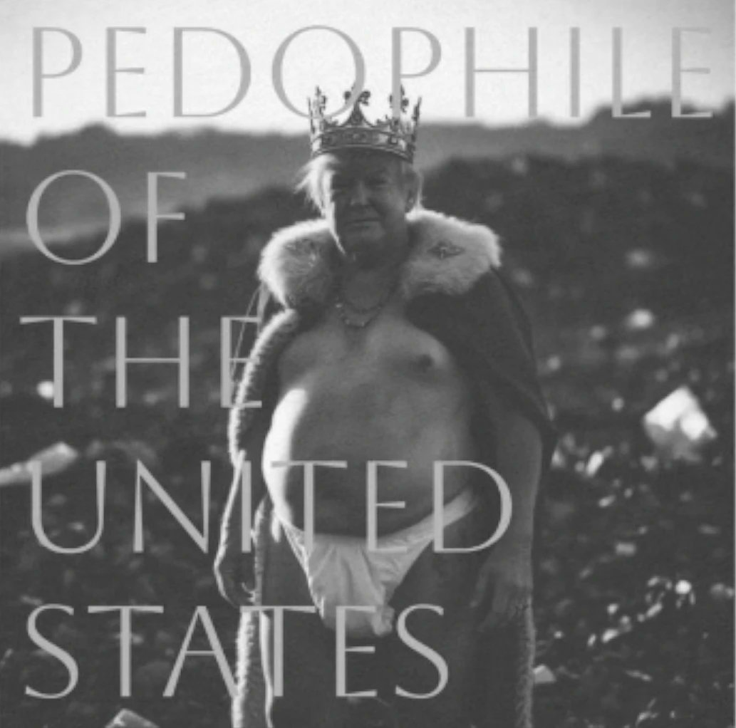 Sun_Deigo's tweet photo. @MeLive007 No~!!! Pedophile Felon &amp; Rapist of the USA https://t.co/TFIc4dEHOE