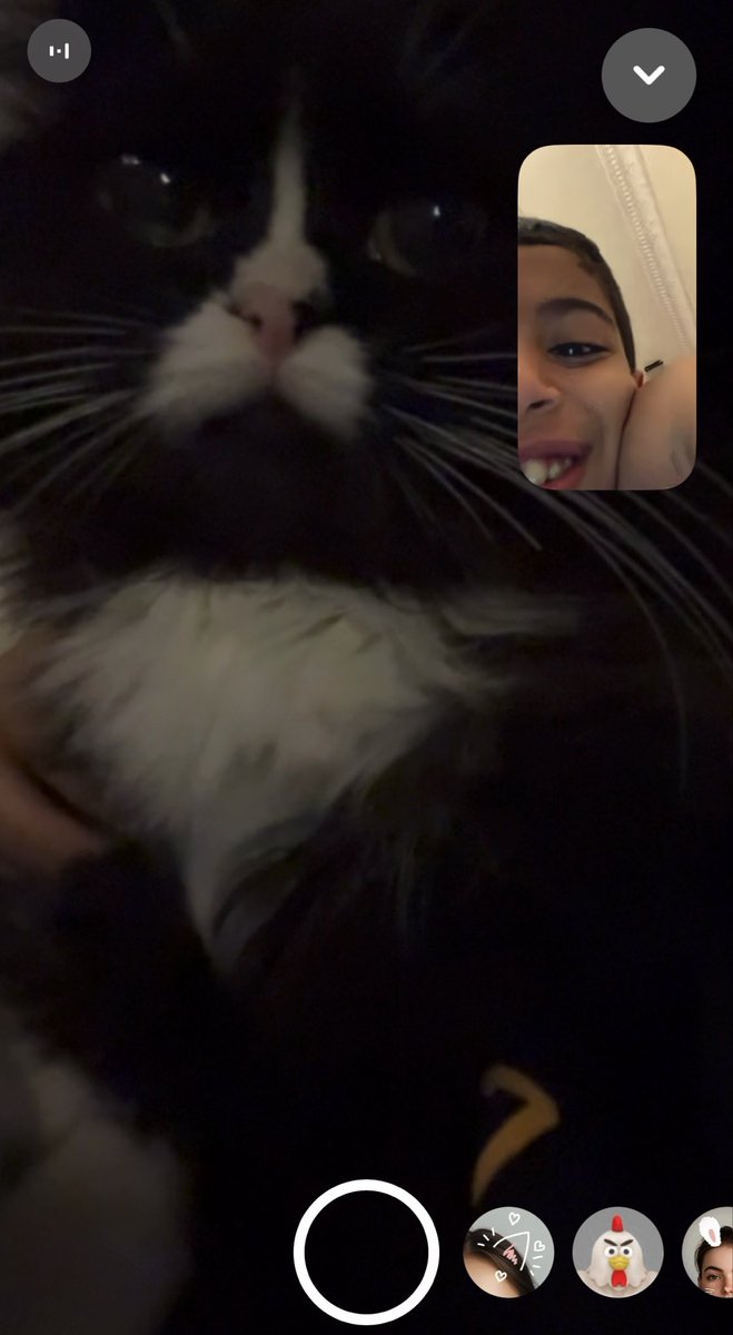 2bdrr1's tweet photo. My kitties ☹️ https://t.co/xpfFW9mUF7